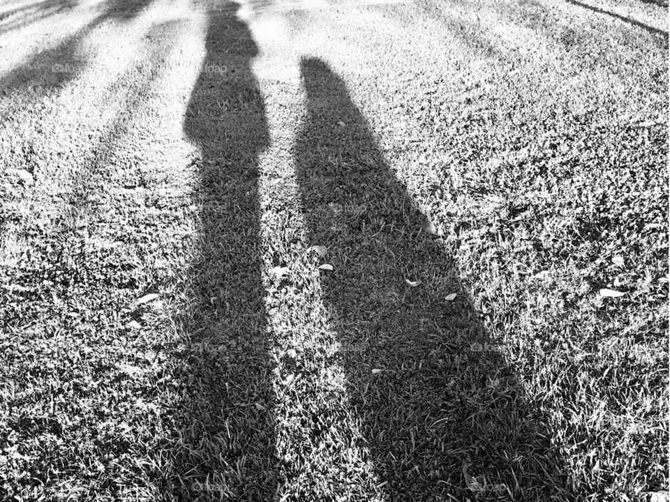 Shadow duo