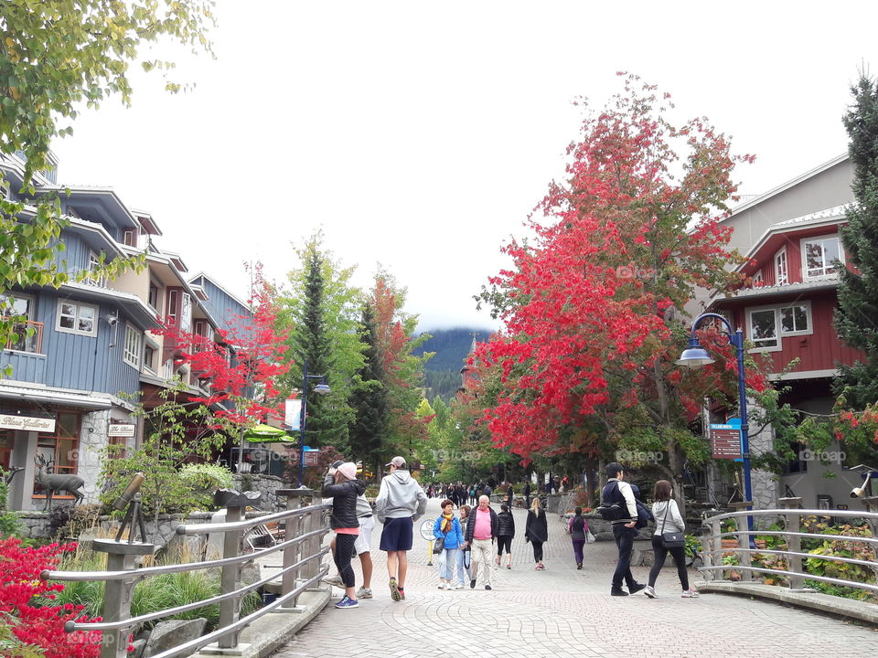 Whistler in Fall