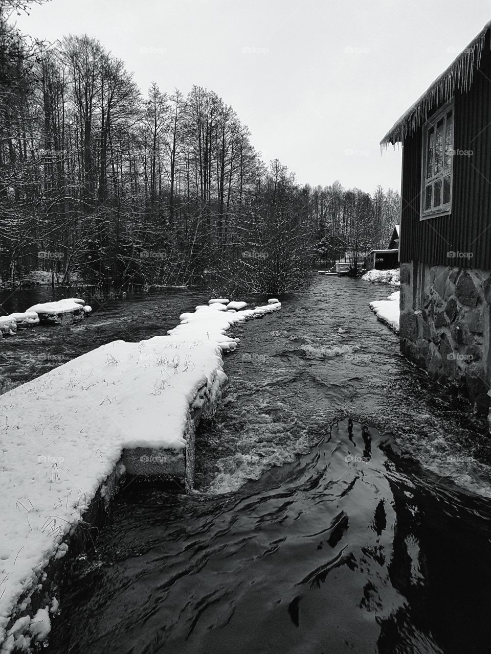 Winter stream