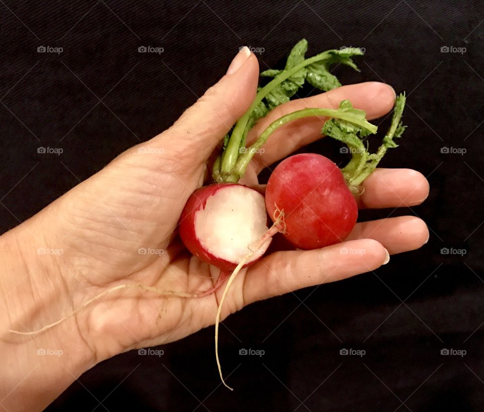 Two Radishes