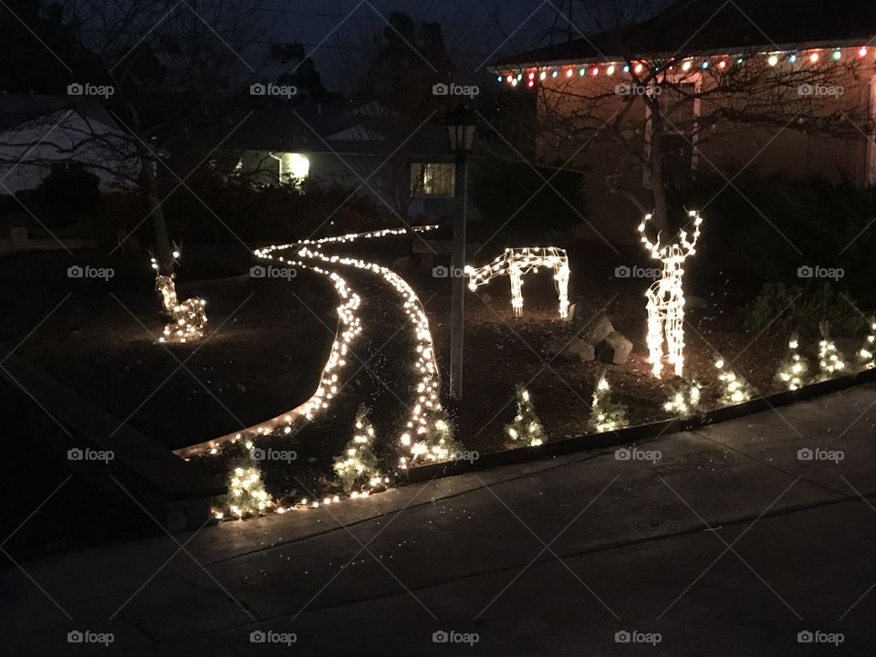 Reindeers light up another house in La Mesa, CA outside of San Diego in the spirit of Christmas.