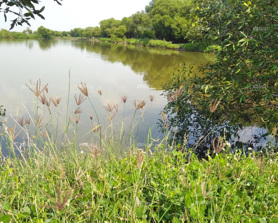 Beautiful lake in the morning