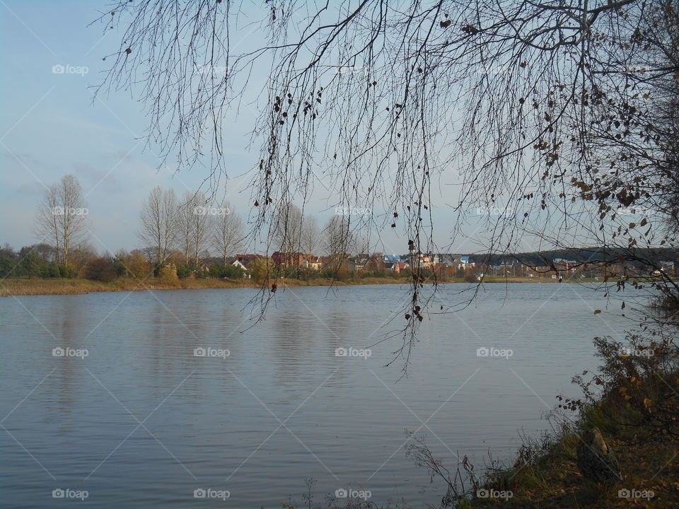 Landscape, Tree, Reflection, Lake, River