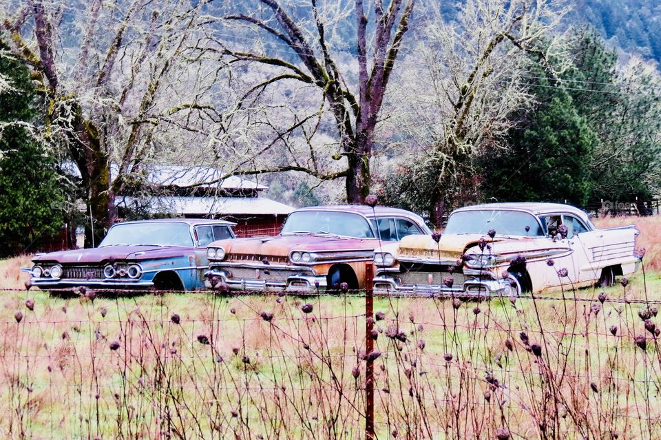 3 Rusty Classic Oldsmobiles Lined Up In A Field. 