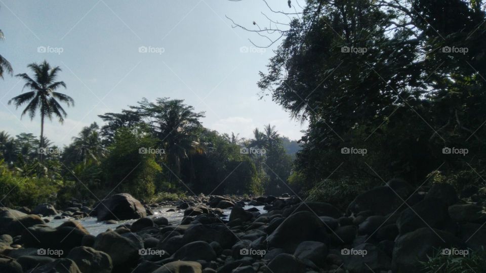 View of the surrounding river