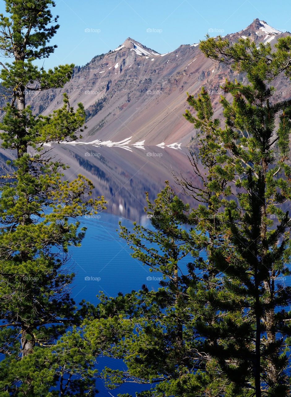 The jagged steep rim reflecting in the rich blue waters of Crater Lake in Southern Oregon seen through beautiful towering trees on a summer morning. 