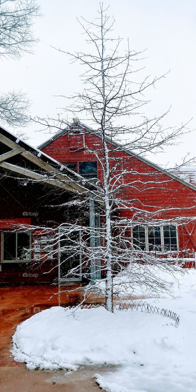 Snow and Red Barn