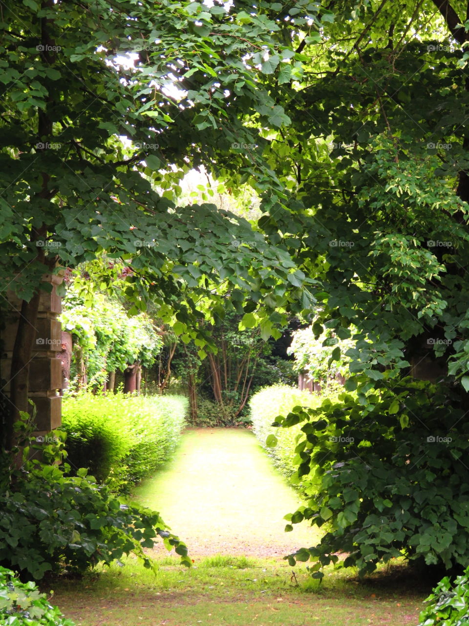 green arch