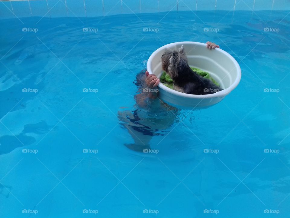 water pool