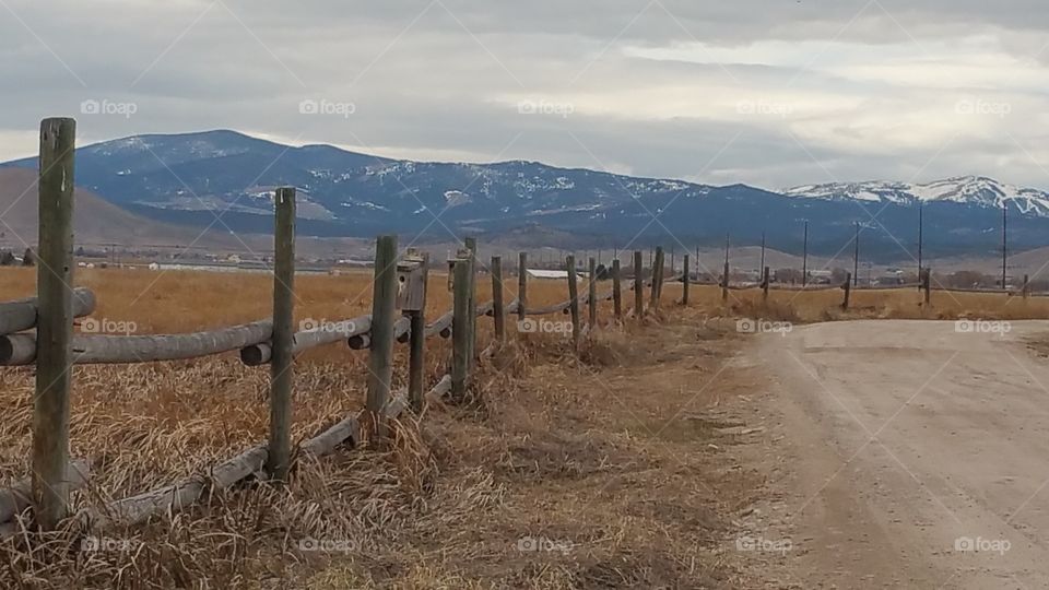 fence along the reserve