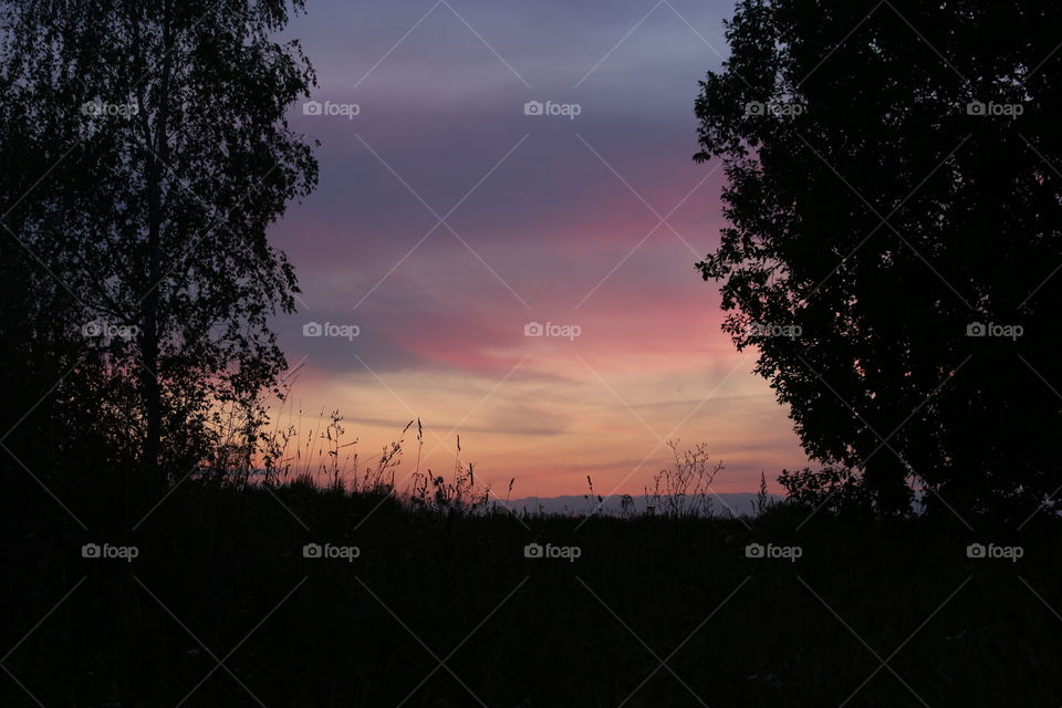 💜 Gorgeous Summer Sunset in Gdansk Poland
🌳 Silhouettes Trees at Sunset Summer
💕 Magnificent Natural Photo to Enjoy Watching