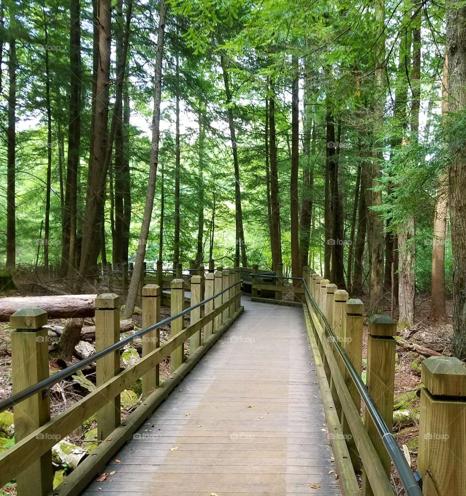 walkway to Muddy Creek Falls
