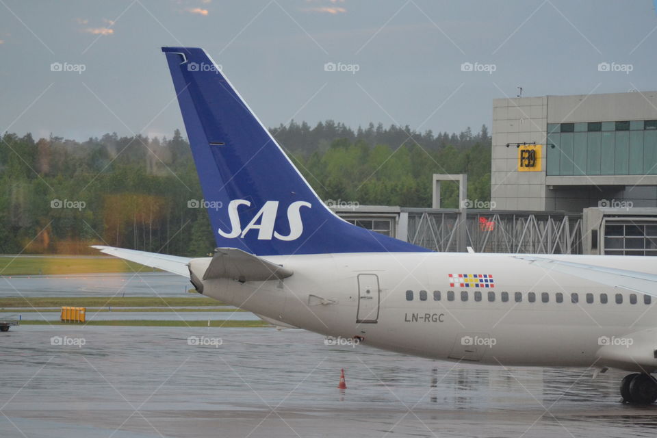 SAS airplane tail.