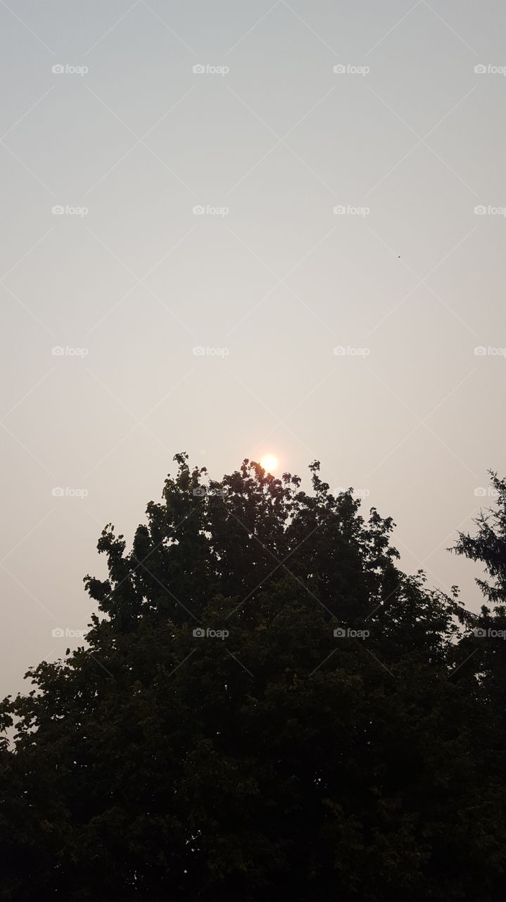 smoke on the sun
Washington state is covered in ash due to wildfires which covers the sun as thick as clouds