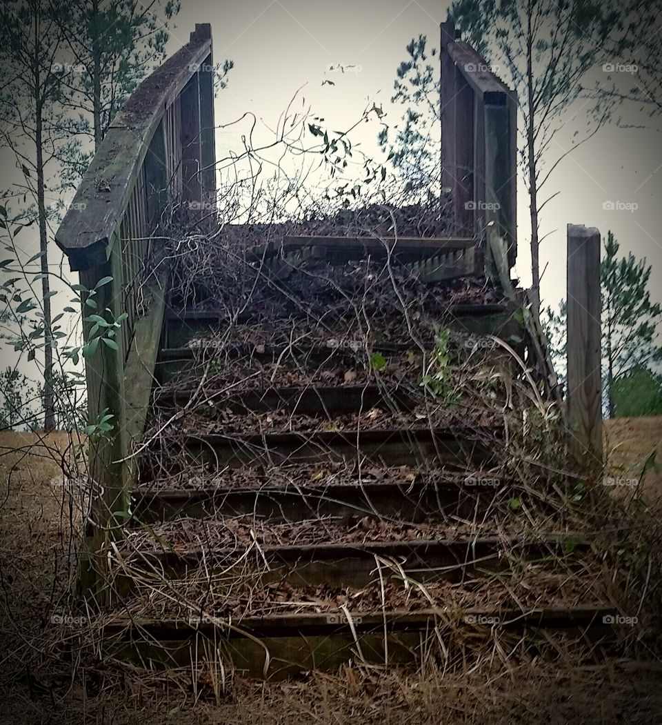 Abandoned stairs