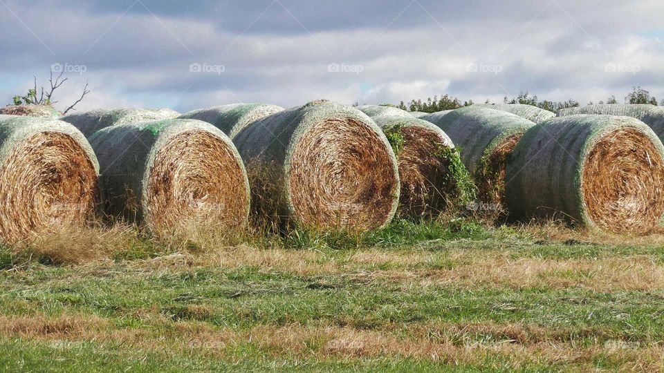 Hay bales on field against sky