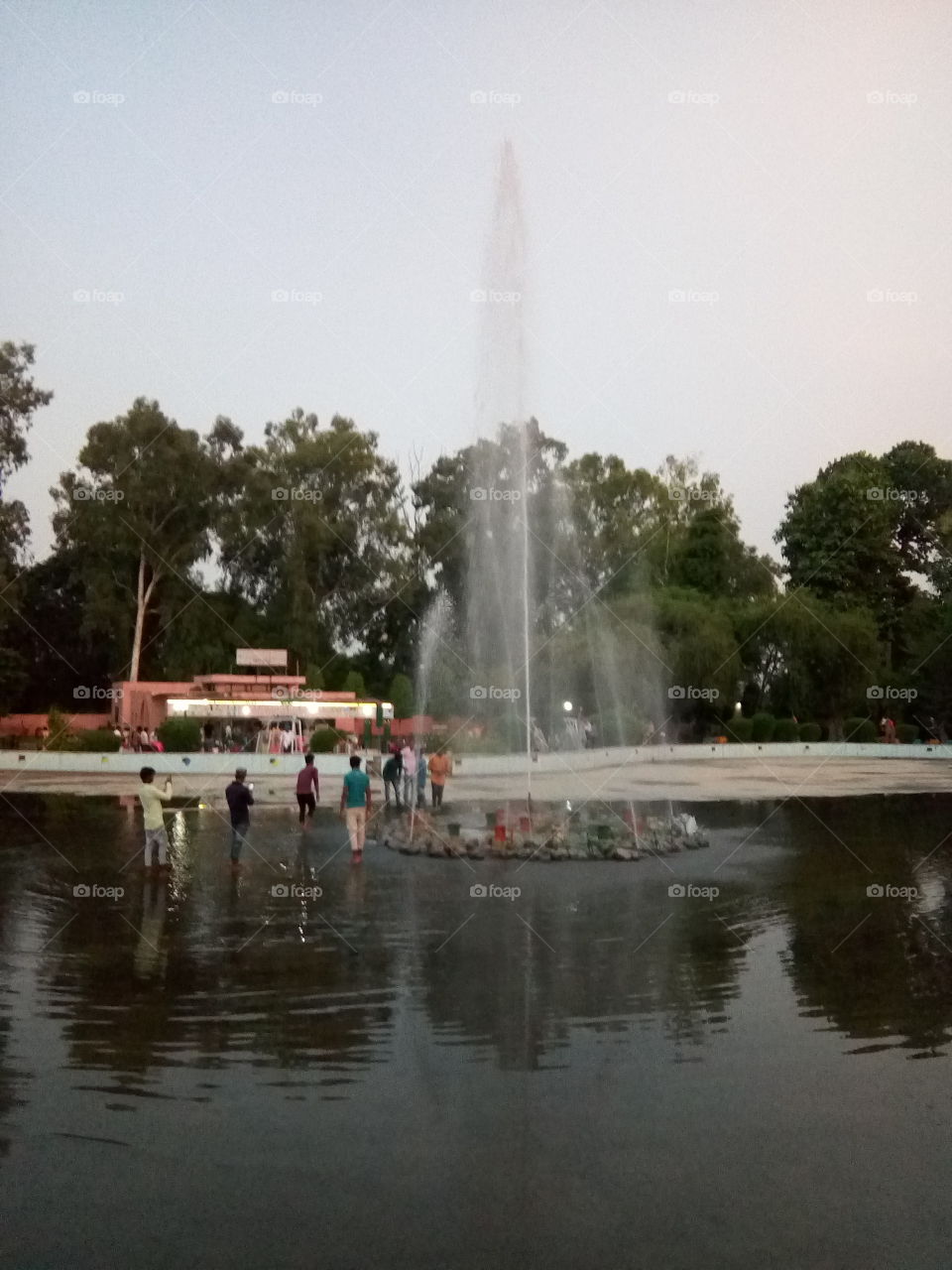 a beautiful seen of ROSE GARDEN situated at city Bathinda.