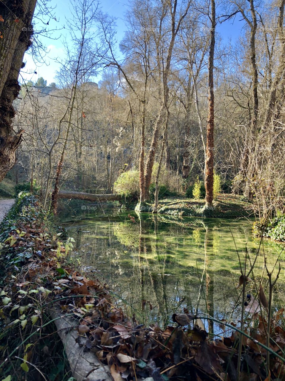 A natural garden pond nestled in the valley. The trees are still bare, waiting for spring to emerge. 