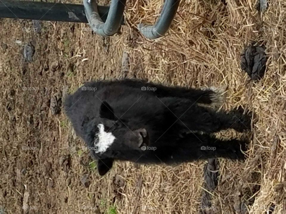 Driving the Back Roads and enjoying everything around us