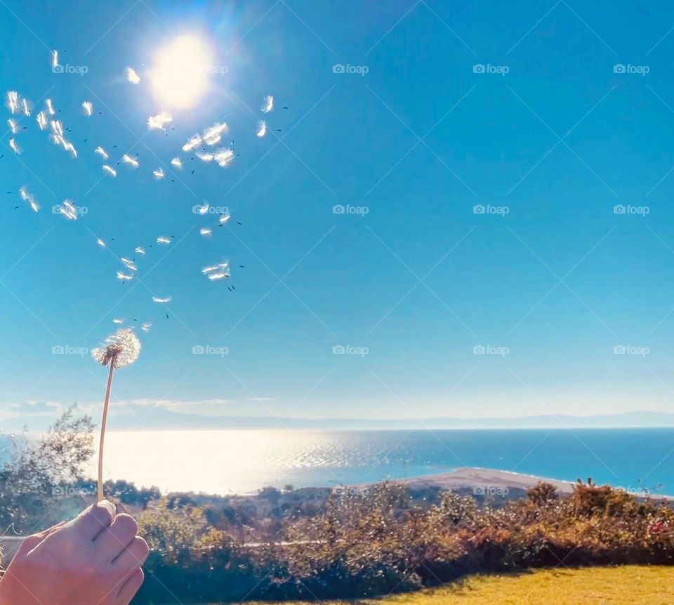 Sunny day looking at the sea 