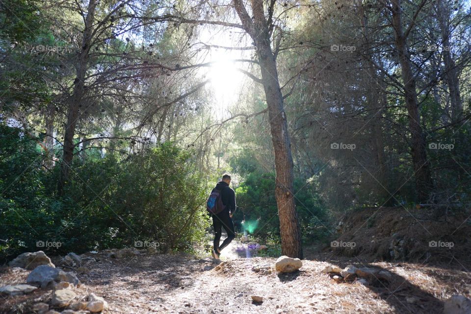 Nature#forest#trees#human#run#sun