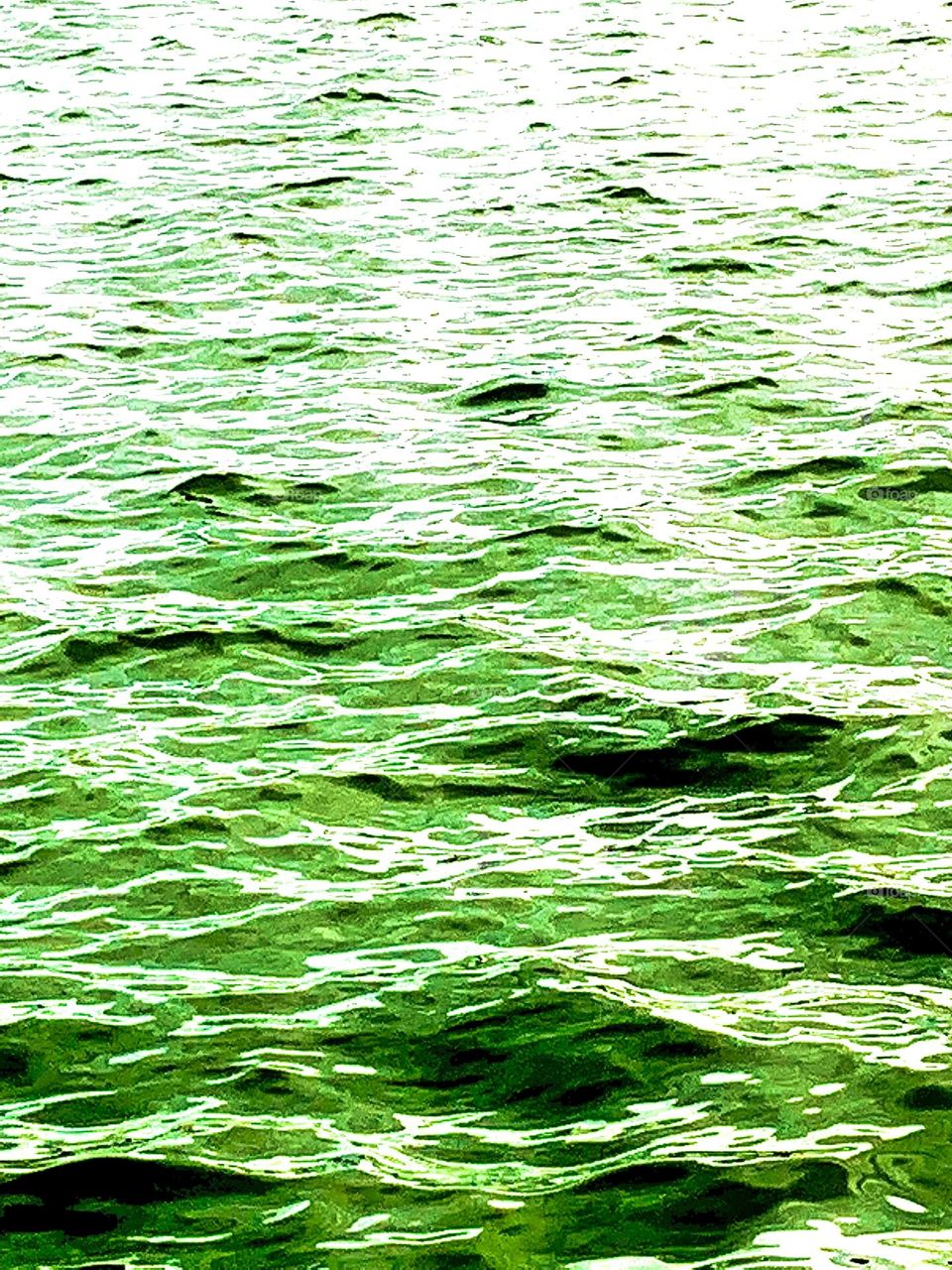 Green water