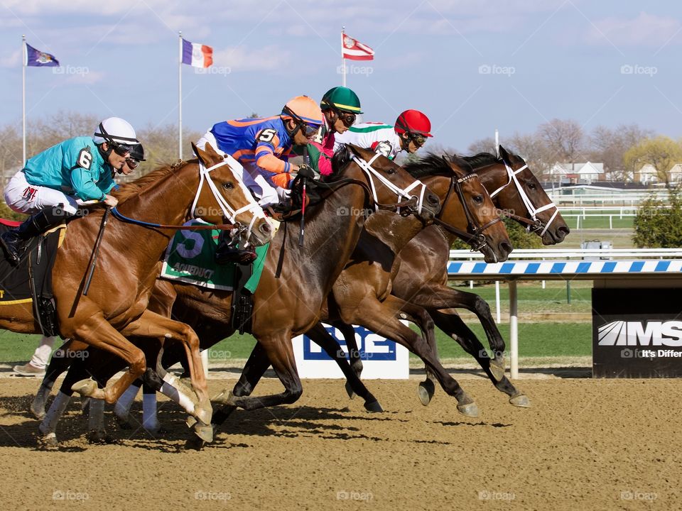 The Gazelle Stakes by Fleetphoto