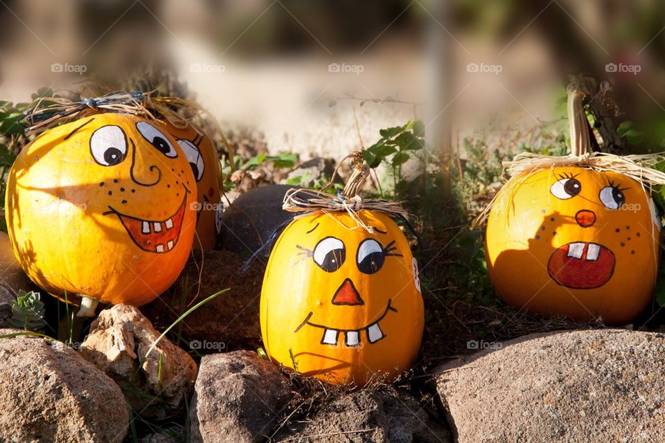 Smiling Pumpkins