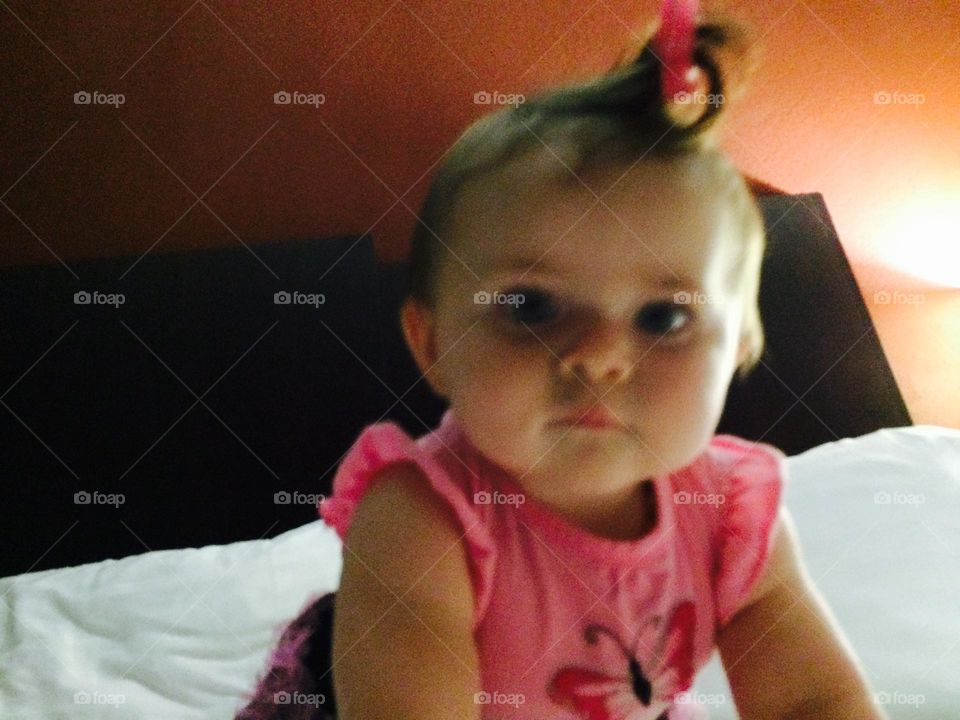 Zephyr looking into the camera 