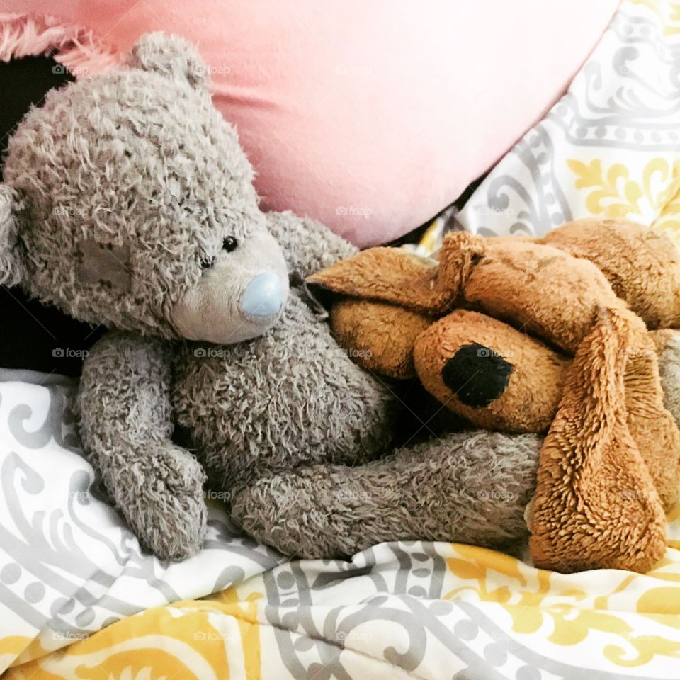 Best Stuffed Friends