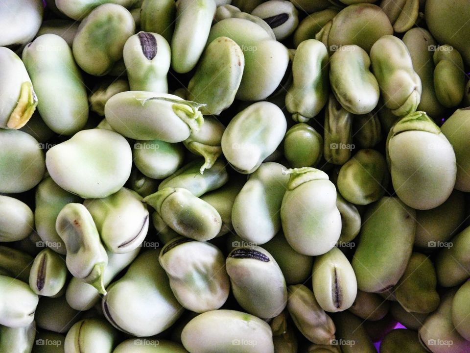 fava bean