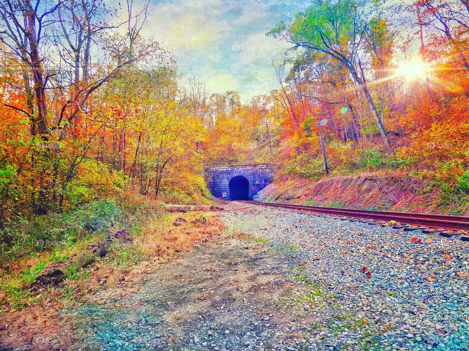 Old Indiana train tunnel in fall. 