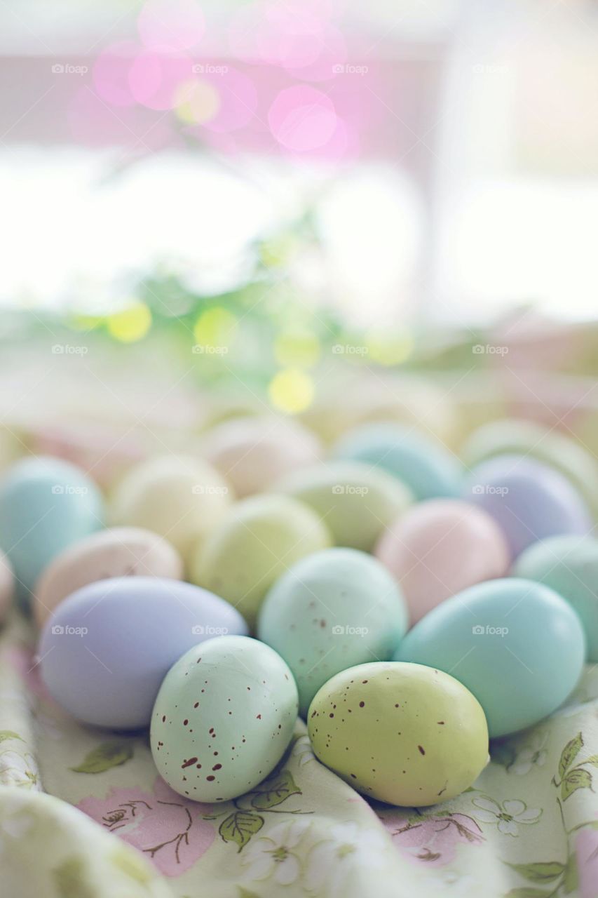 coloured eggs