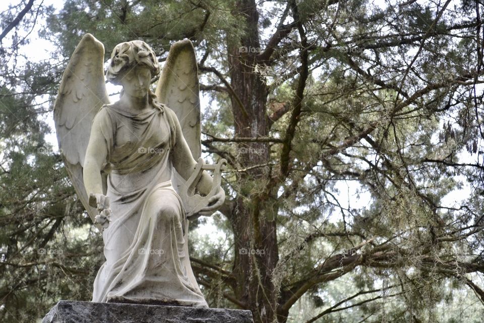 A front view of an angel statue in front of a large pine tree in a cemetery