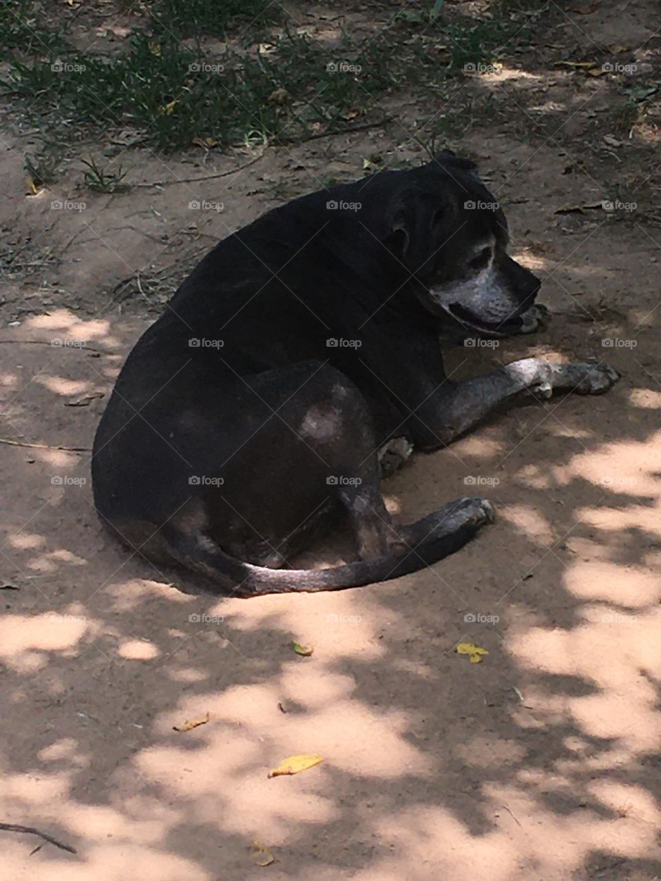 Please pray for me and go to my GoFundMe page and help me I have a tumor on my bladder!