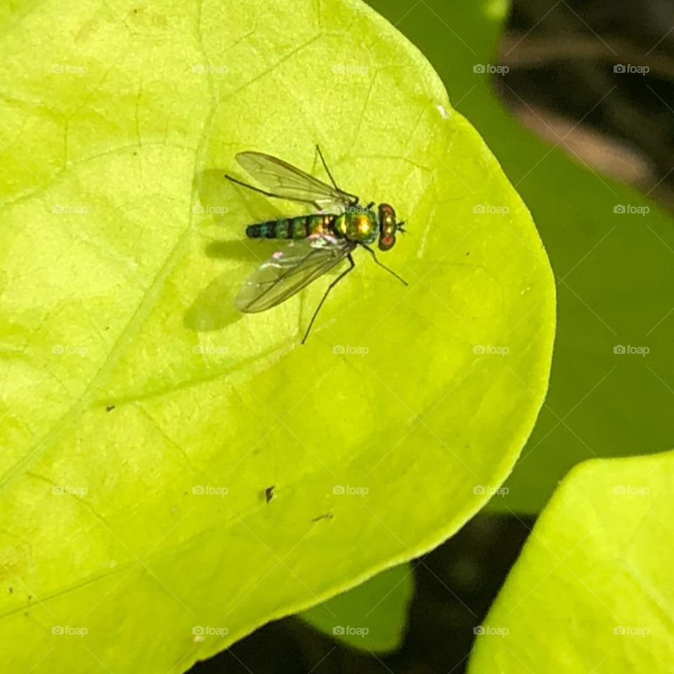 I can even see his eyes !