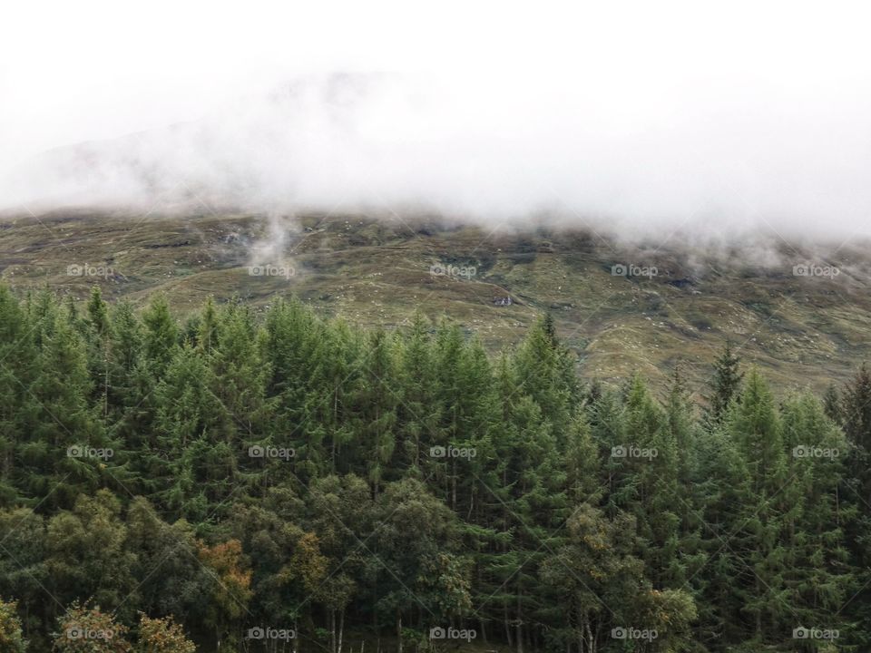 Misty mountains of Scotland