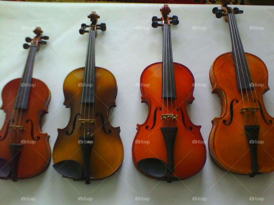 violins wood instrument