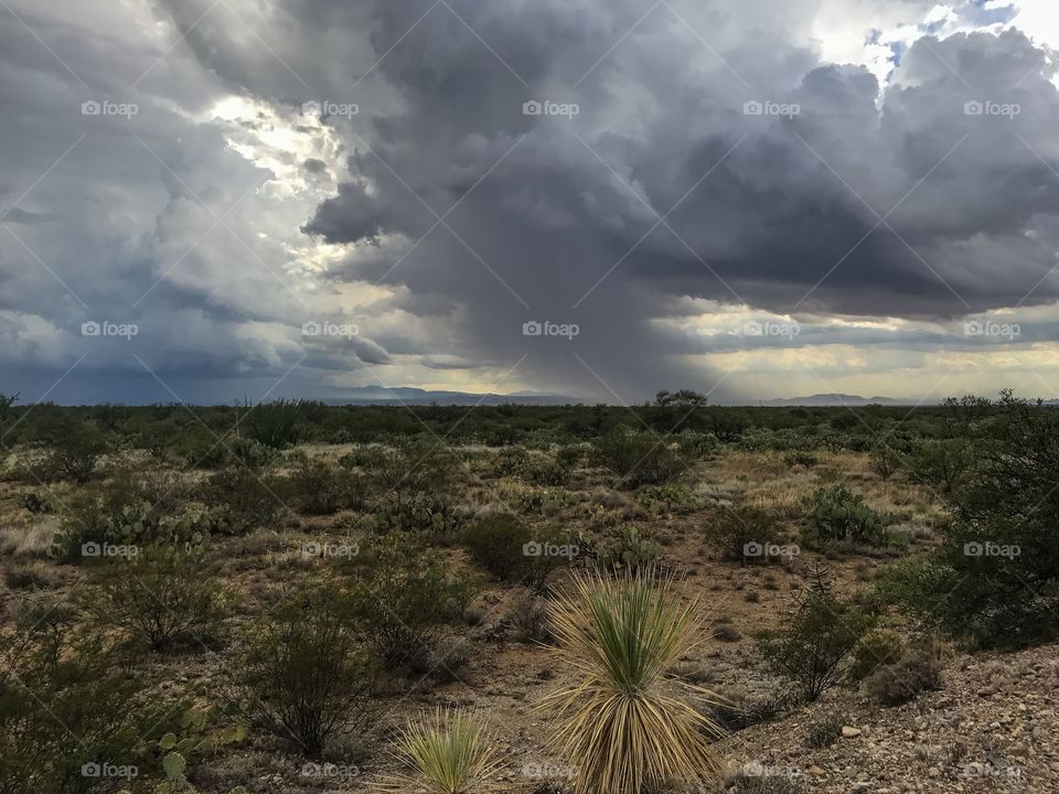 Desert Landscapes - Monsoon 