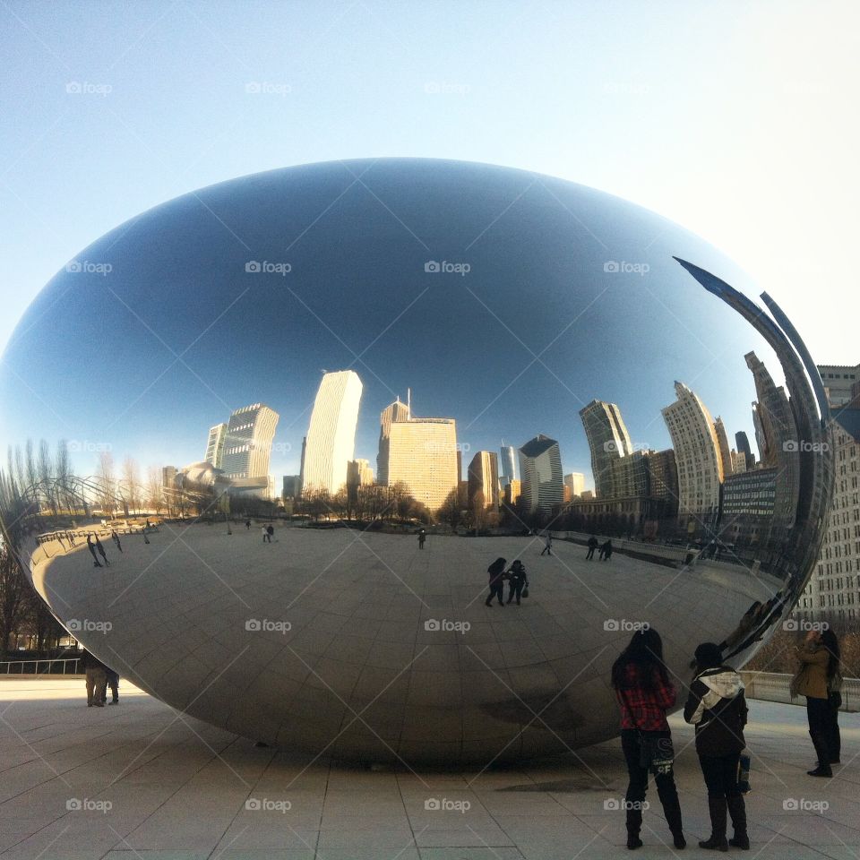 Chicago bean
