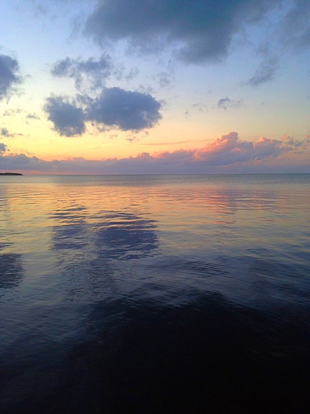 Reflections
