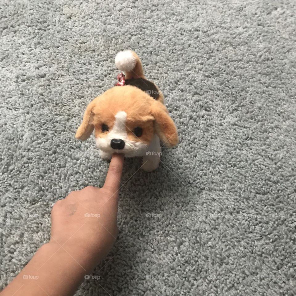 My fingers in the fake puppy’s mouth