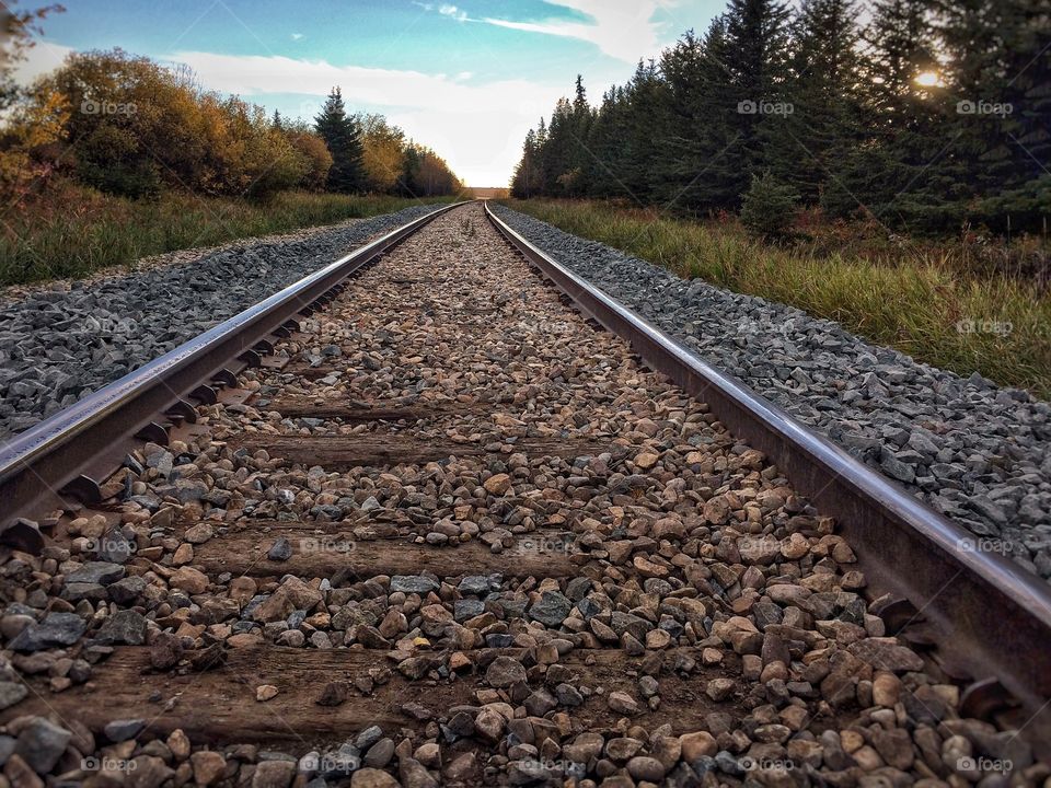 Railroad tracks 