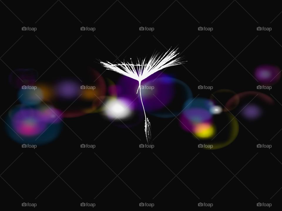 Abstract- floating seed with colorful bubble background in the dark.