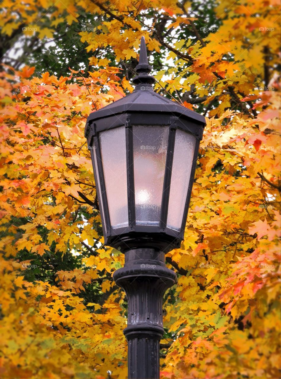 Lamp post