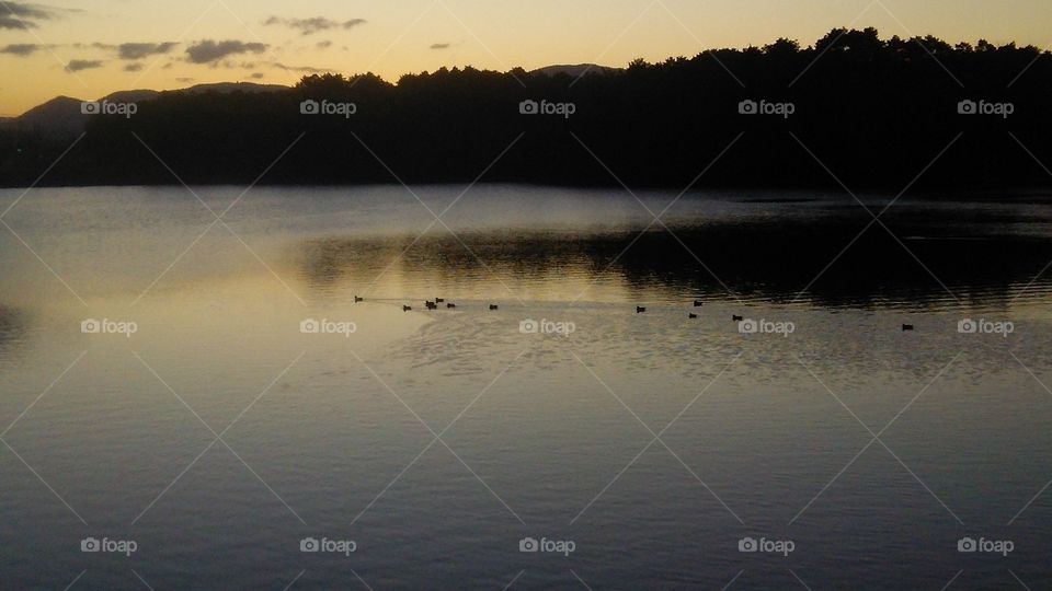 Early morning lake ♪ Morning birds ♪