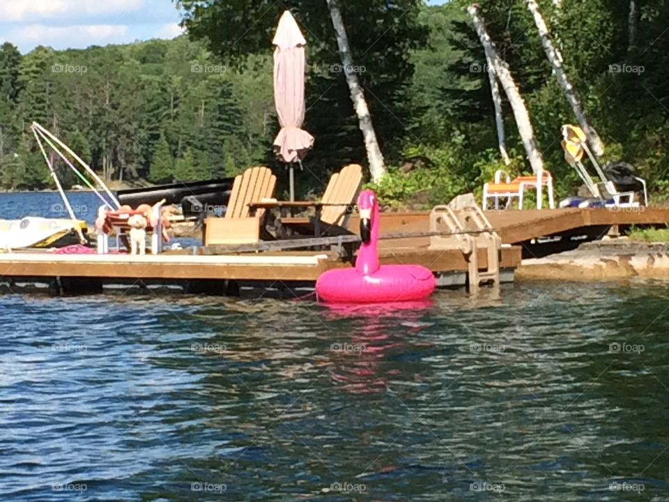 Dock with pink flamingo floaty