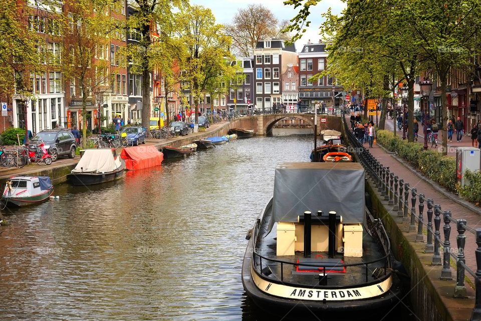 Amsterdam Boat