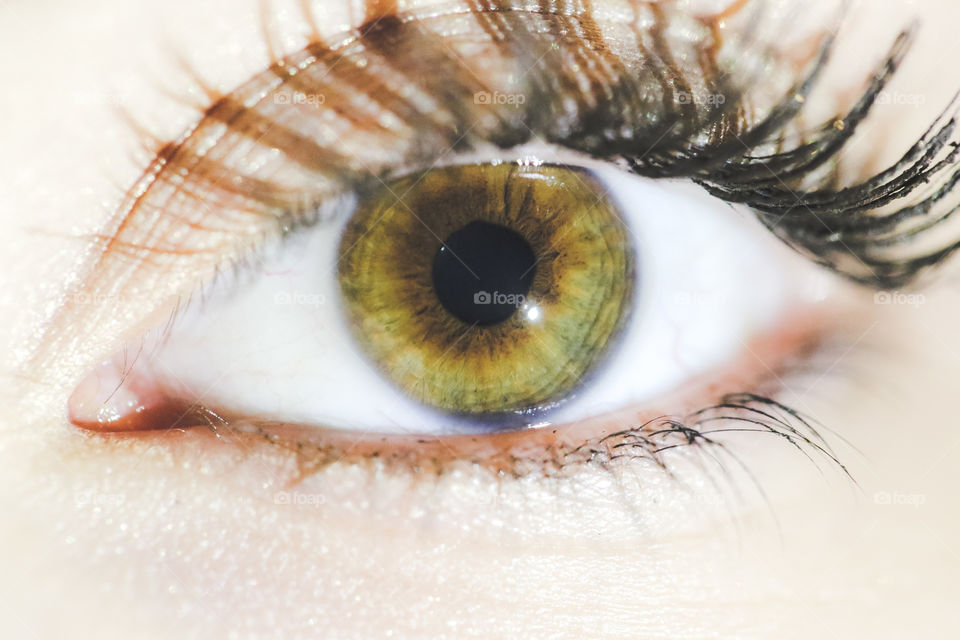 Beautiful and detailed hazel-green eye