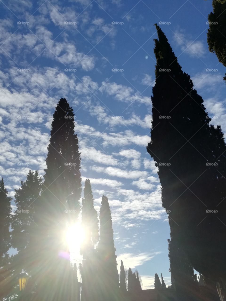 Last 2018 day. Wonderfull sun